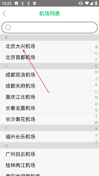 笨鸟停车