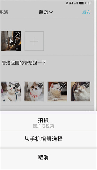 嘉兴第九区
