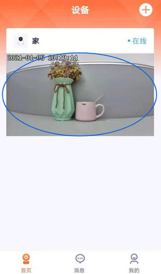 腾达安防app