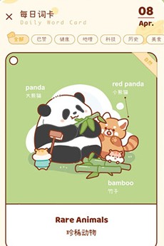 奶酪单词