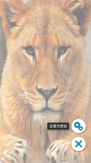 铃声壁纸大全