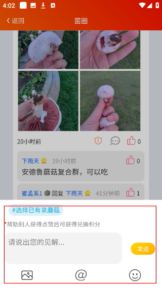 菌窝子蘑菇识别
