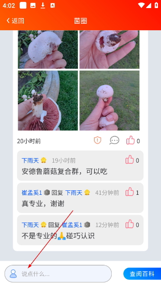菌窝子蘑菇识别