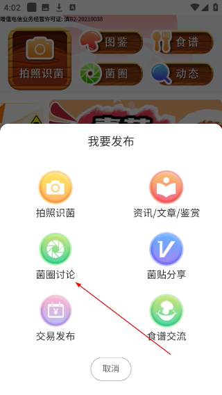 菌窝子蘑菇识别