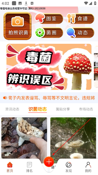 菌窝子蘑菇识别