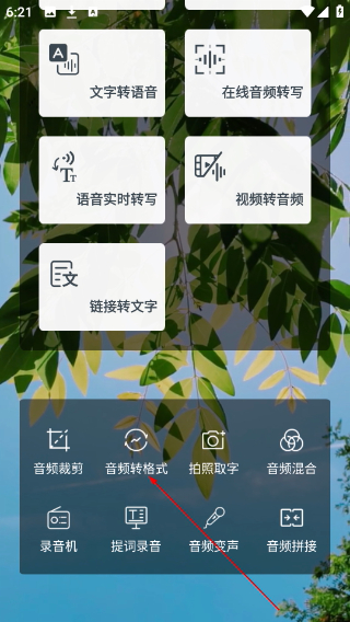 音频转文字助手免费版