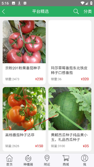 种子库
