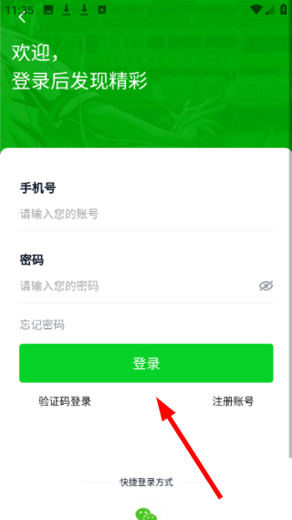 球掌柜