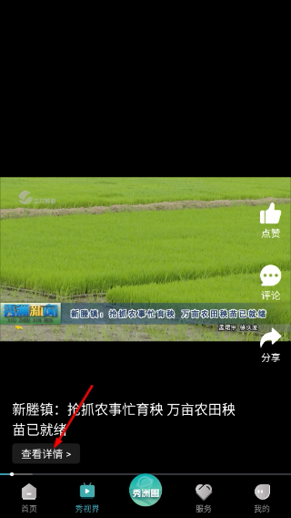 看秀洲客户端