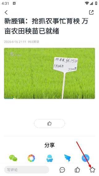 看秀洲客户端