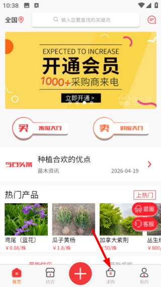 苗木网
