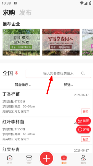 苗木网
