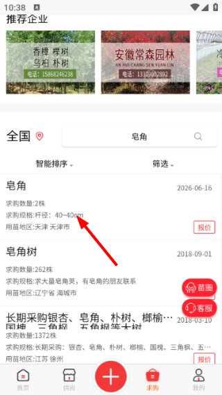 苗木网