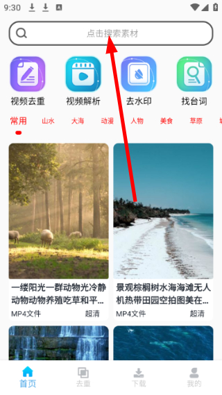 视频素材大全