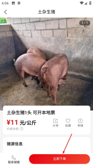 国家生猪市场