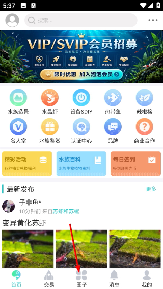 泡泡水族安卓版
