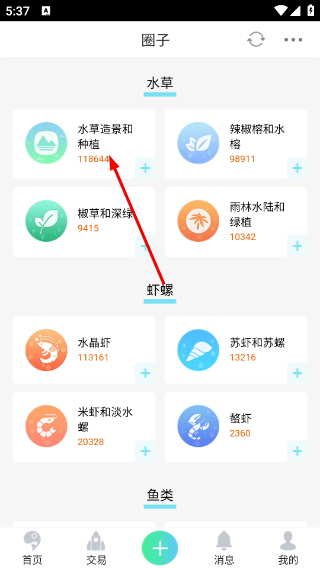 泡泡水族安卓版