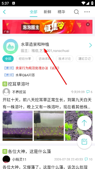 泡泡水族安卓版