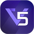 V5item